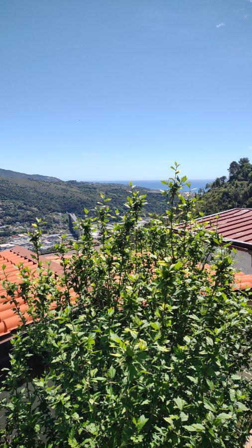 Bungalow Sixdays 2 Camporosso  Exterior foto